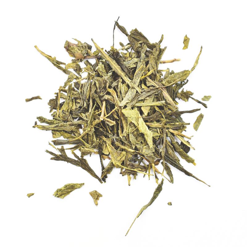 SENCHA TRADITION SENCHA TRADITION