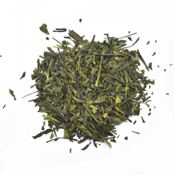 GRAND SENCHA