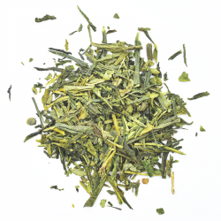 SENCHA YAMATO