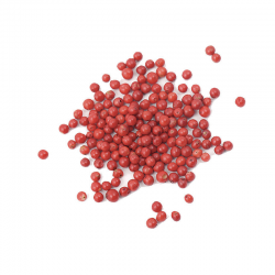 Epices BAIES ROSES 25G