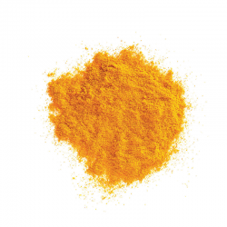 Epices CURCUMA EN POUDRE 40G