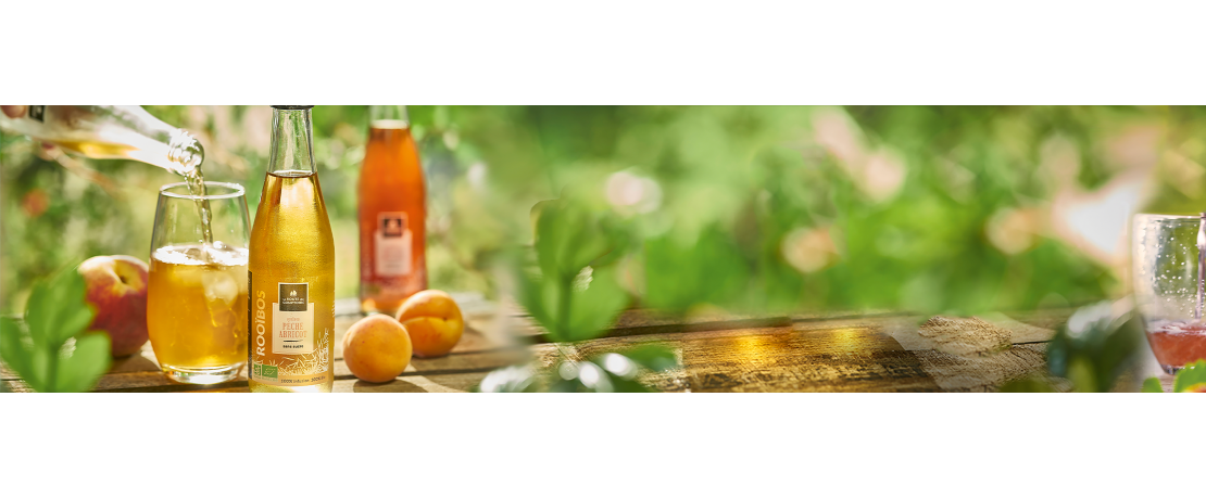 Rooibos glacés